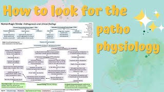 HOW TO SEARCH PATHOPHYSIOLOGY WITHOUT ANY HASSLE