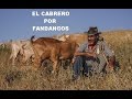 El cabrero   por fandangos  rafael hidalgo romero