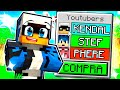 MINECRAFT MA PUOI COMPRARE GLI YOUTUBER PER 100 EURO!