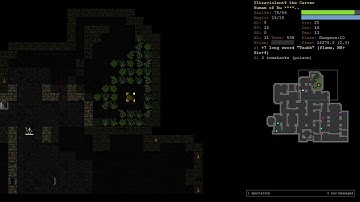 Human Wanderer Part 3 - Dungeon Crawl Stone Soup