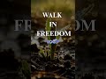 Prayer to Break Bad Habits 🙏 | Walk in Freedom Today | Seeds of Authority Daily Prayer