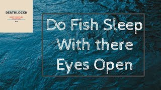 Do Fish Sleep With there Eyes Open? G.I.N.I.U.S S01E04