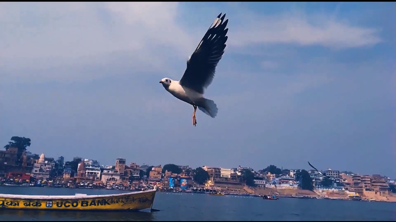 perfect mind relaxing music(mind peace,perfect quarantine remedy),sleep therapy,meditation music