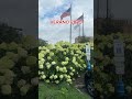 Visitando Englewood new jersey el estado jardin.