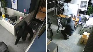 Masked Thief Steals 20K Worth Of Camera Gear From Socal Business