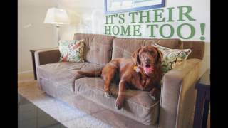 Princeton Place | Experience Modern Amenities