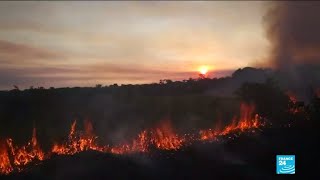 Des feux de forêts importants touchent l’Amazonie, Bolsonaro accuse les ONG