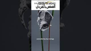 Lordosis Posture Correction