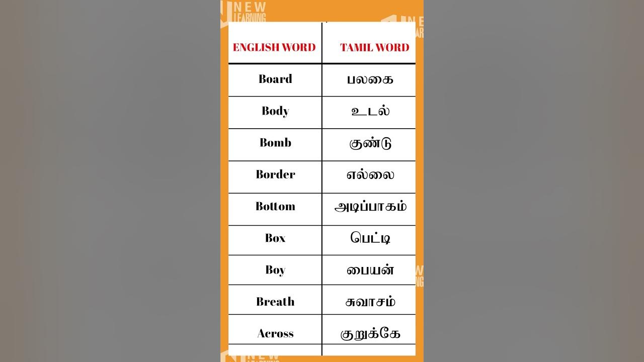 English Words With Tamil Meaning 730 Spoken English In Tamil english-words-with-tamil-meaning-730-spoken-english-in-tamil