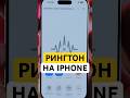 Поставь свой рингтон на iPhone #iphone17 #iphone #iphone16promax