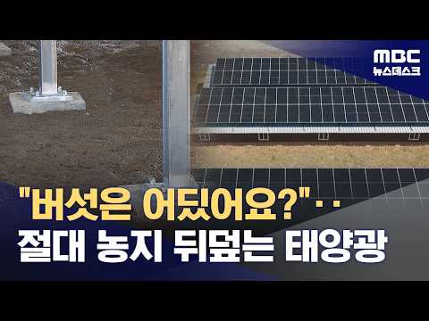 Mushroom Farming Is Just an Excuse for 'Illegal Solar Power'... 'Protected Farmland' in Name Only...
