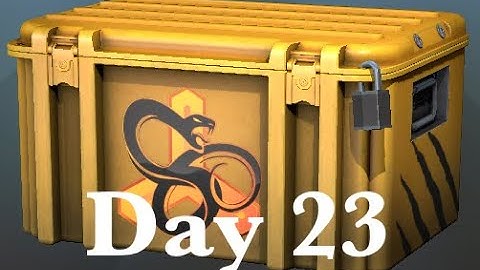 Opening a CS:GO snakebite case until I get a gloves #23