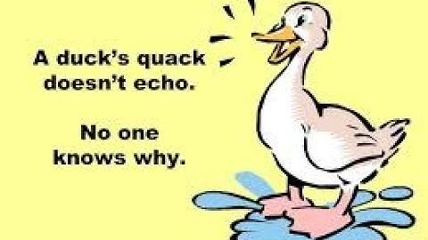 A duck’s quack doesn