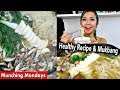 FOUR MUSHROOM SOUP RECIPE & MUKBANG // Munching Mondays Ep.15