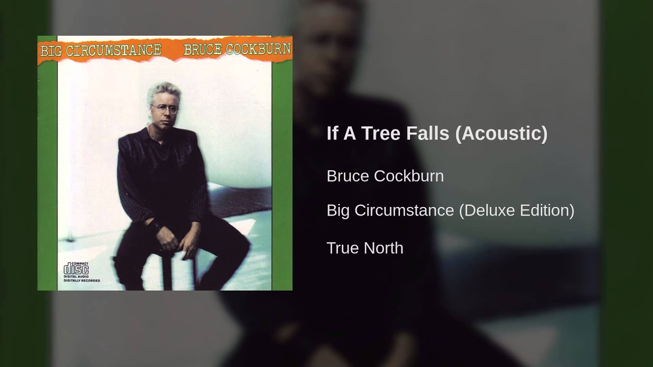 Bruce Cockburn - If A Tree Falls (Acoustic)