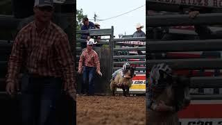 When the sheep wins 🐑💥 #BullRiding  #Rodeo #RealMen  #FYP #Respect