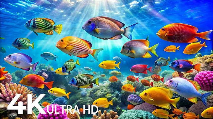 DREAM AQUARIUM 4K - Marvel at Sea Animal in The Best Aquarium - Fish Tank Sounds for Sleep, Study