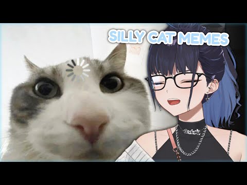 Kson Reacts to 'cat.exe stopped working'