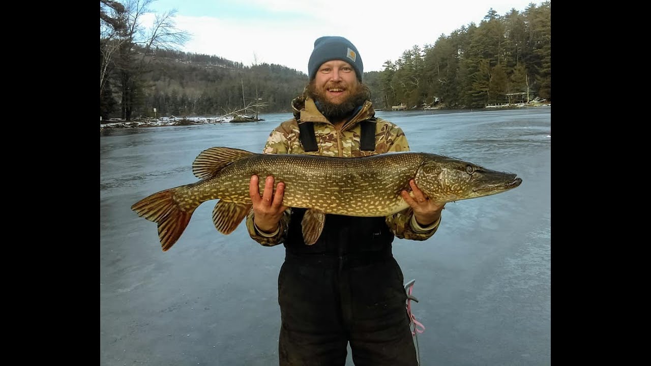 Adirondack Ice Fishing 40" Northern Pike on 12/15/18 YouTube