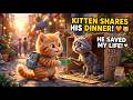 Kitten Helped Homeless Cat… What Happened Next Will Melt Your Heart