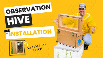 We Found the Queen! (Observation Hive Bee Installation) | HillCo, LLC