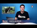 Захват российской линии обороны / Оккупанты без связи
