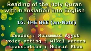 16 The Bee an Nahl  Muhammad Ayyub with The Translation