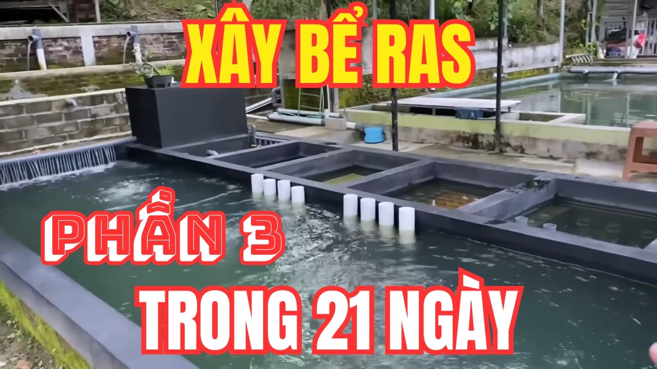 Quá Trình Xây Bể Nuôi Cá Công Nghệ RAS Trong 21 Ngày   | Chi Tiết Từ A Đến Z | Phần 3