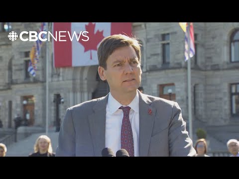 MLA Puts Forward Private Member S Bill That Could Make It Easier For MLAs To Lose Job 