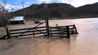 VID 20150207 110905 3471