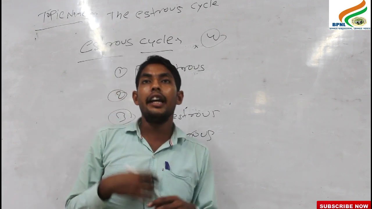  Part 1 The Estrous Cycle In Animals In Hindi YouTube
