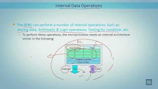 Microprocessor based Systems | C2 - L4 | Internal Data Operations