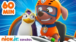 Paw Patrol | ¡1 HORA de grandes rescates animales! | Nick Jr. en Español