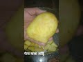 face wala aalu