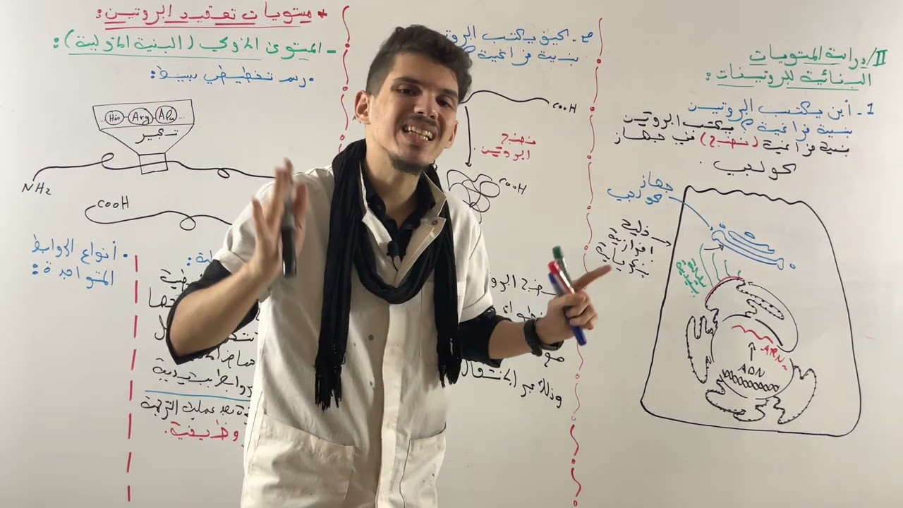 العلاقة بين بنية ووظيفة البروتين الجزء 2