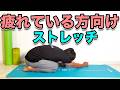 【体が疲れている方向け!ストレッチ】疲労回復のためにやっておきたいストレッチ!