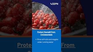 Protect Yourself from Cyclosporiasis