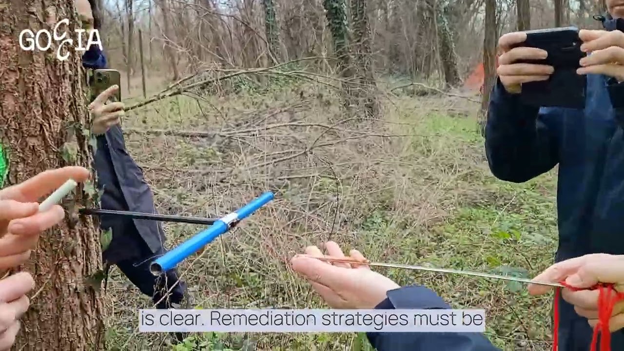 GOCCIA - Zoom In 1 ‐ Phytoremediation & bioremediation in urban context