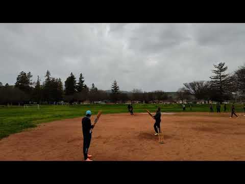 CricBay: Marvel v Alpha Lions