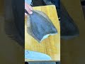 釣ったヒラメから…【北海道小樽産・魚の捌き方】