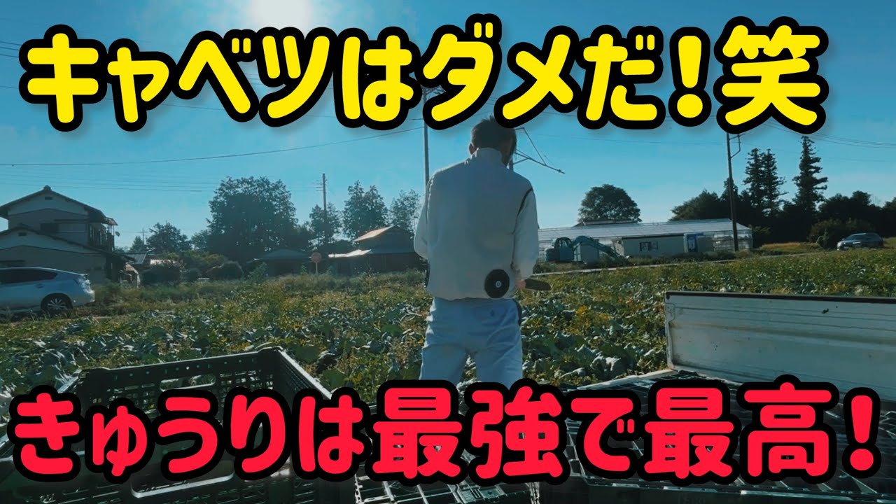 12000株植え付け。仲良しくんと1番の仲良しは全農家の中で自分だと思ってます