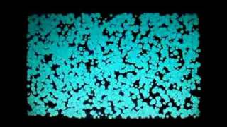 Audio Visualisation