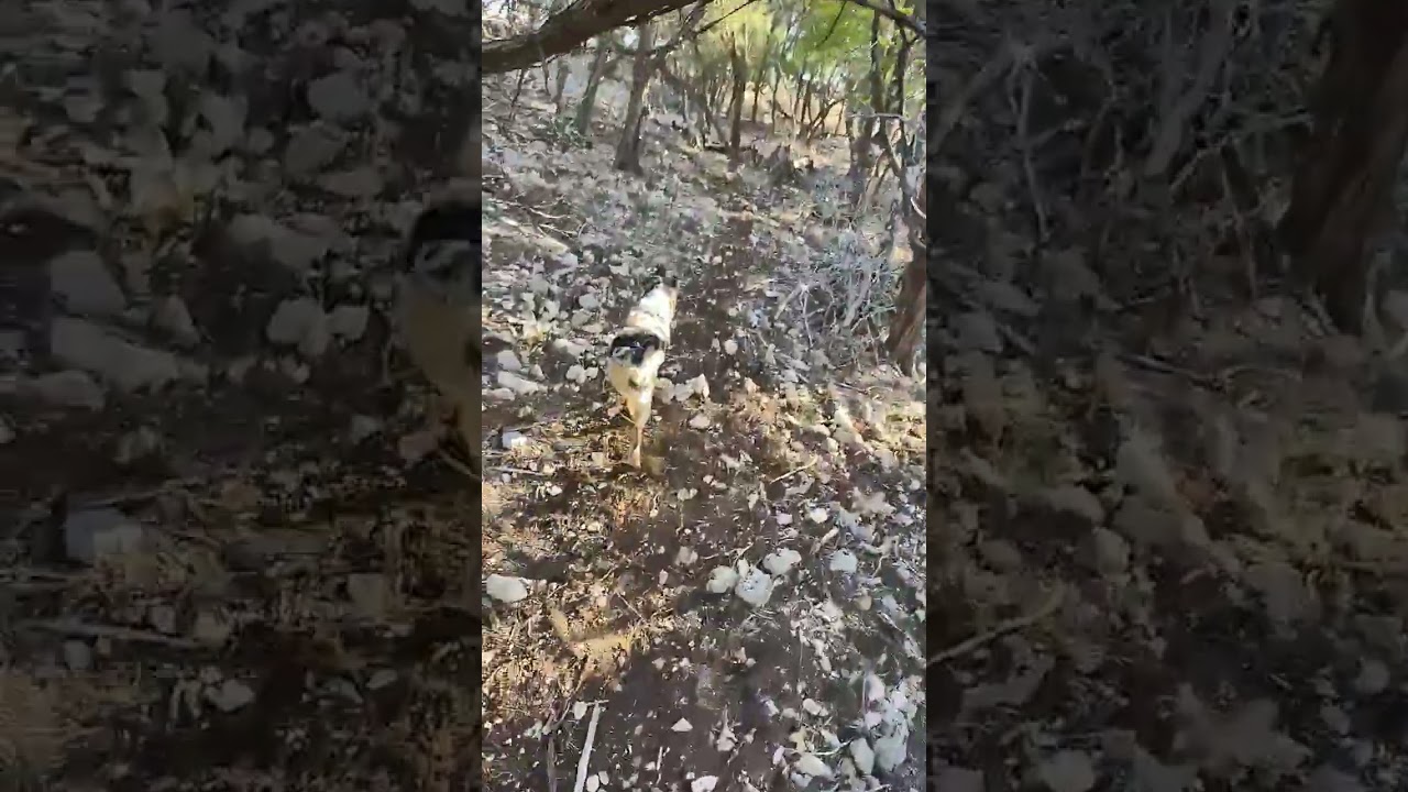 I know it's bad 🥲/ 