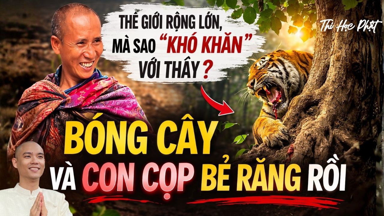 Minh Tuệ Vấn Đáp: BÓNG CÂY và CON CỌP BẺ RĂNG RỒI | Thi học Phật