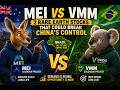 Two Rare Earth Giants Nobody Is Watching (MEI vs VMM) -- ASX