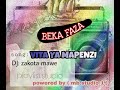 Beka Faza Vita Ya Mapenzi Official Singeli Audio