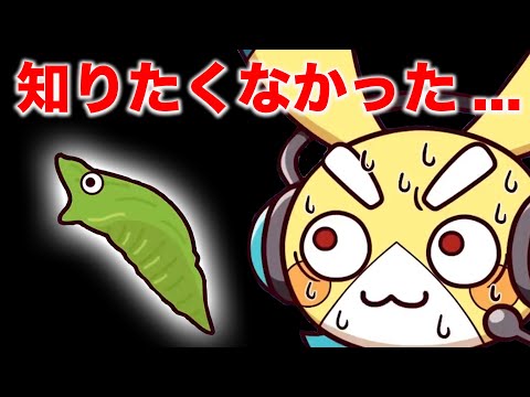 知りたくなかった...虫の隠れたしんじつ【ペケペケ!ペケッツくん】【切り抜き】【アニメ】【マンガ】
