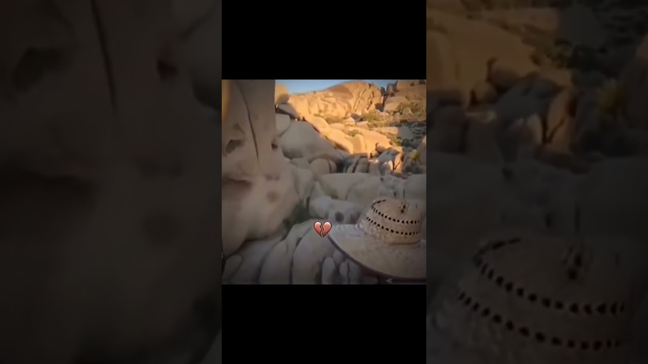 only legend knows 😼 