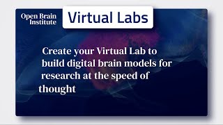 Virtual Labs Explore, Build And Simulate Digital Brain Models