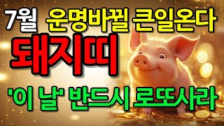 [돼지띠 운세]7월&#39;이날&#39; 로또사라 | 50억 로또운 폭발!｜금전운세, 로또 흐름 총정리 #돼지띠 #돼지띠운세
